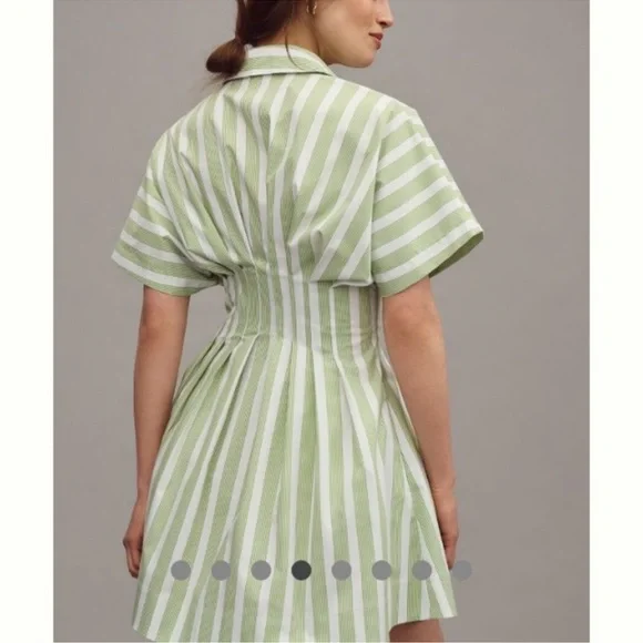 Anthropologie Exquise Tobbie Button Front Pleated Waist Mini Dress medium - Picture 3 of 5